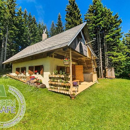 Mountain Eco Chalet Konjska Dolina On 1400 M Asl -Near Pokljuka Srednja Vas v Bohinju Exterior photo