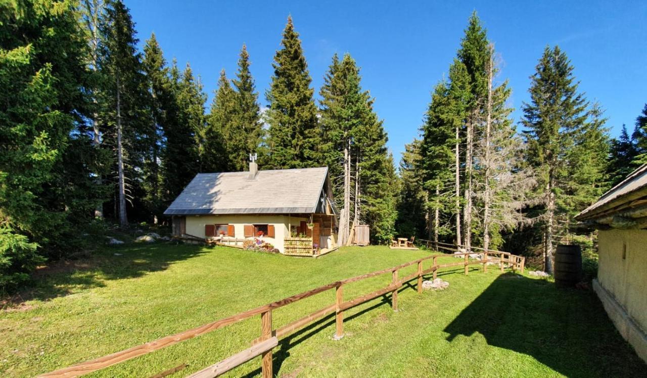 Mountain Eco Chalet Konjska Dolina On 1400 M Asl -Near Pokljuka Srednja Vas v Bohinju Exterior photo