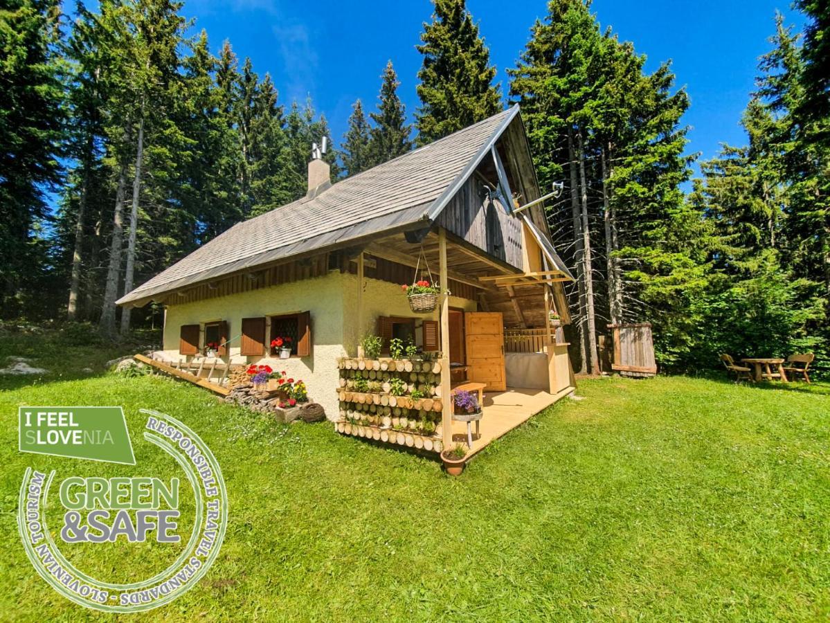 Mountain Eco Chalet Konjska Dolina On 1400 M Asl -Near Pokljuka Srednja Vas v Bohinju Exterior photo